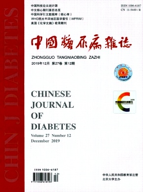 《中国糖尿病杂志》封面