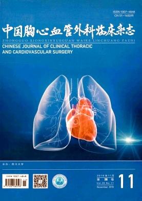 中国胸心血管外科临床