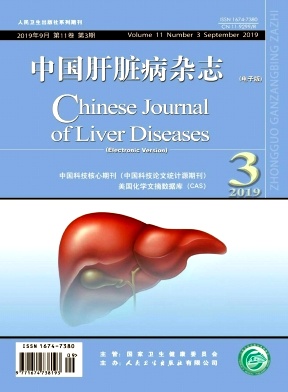 中国肝脏病（电子版）