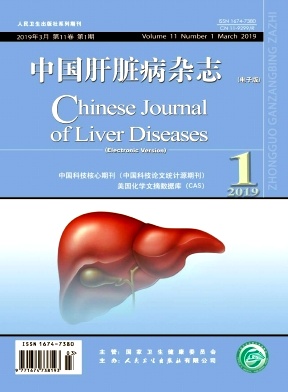 中国肝脏病（电子版）