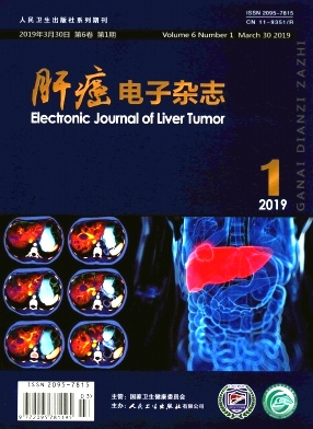 肝癌电子