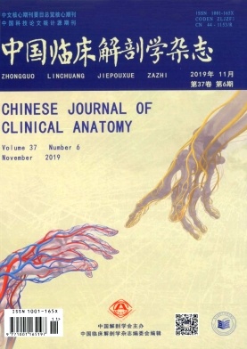中国临床解剖学