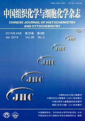 中国组织化学与细胞化学