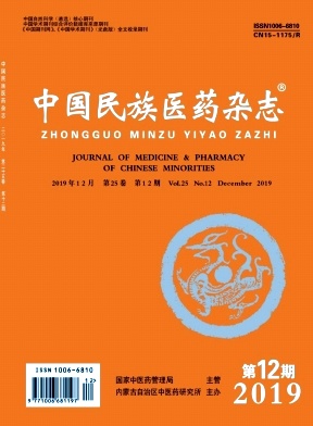 中国民族医药