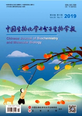 中国生物化学与分子生物学报