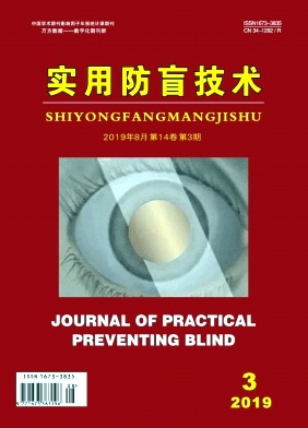 实用防盲技术