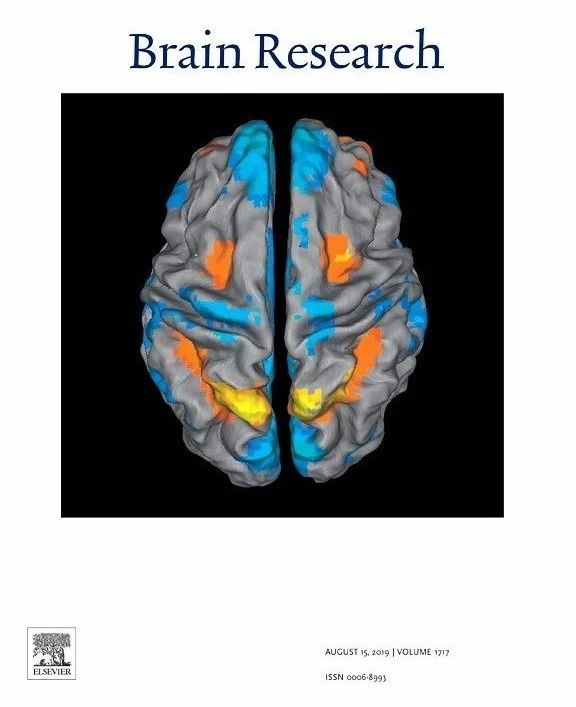 医学SCI期刊：有哪些审稿快影响因子高好发表的神经学SCI期刊