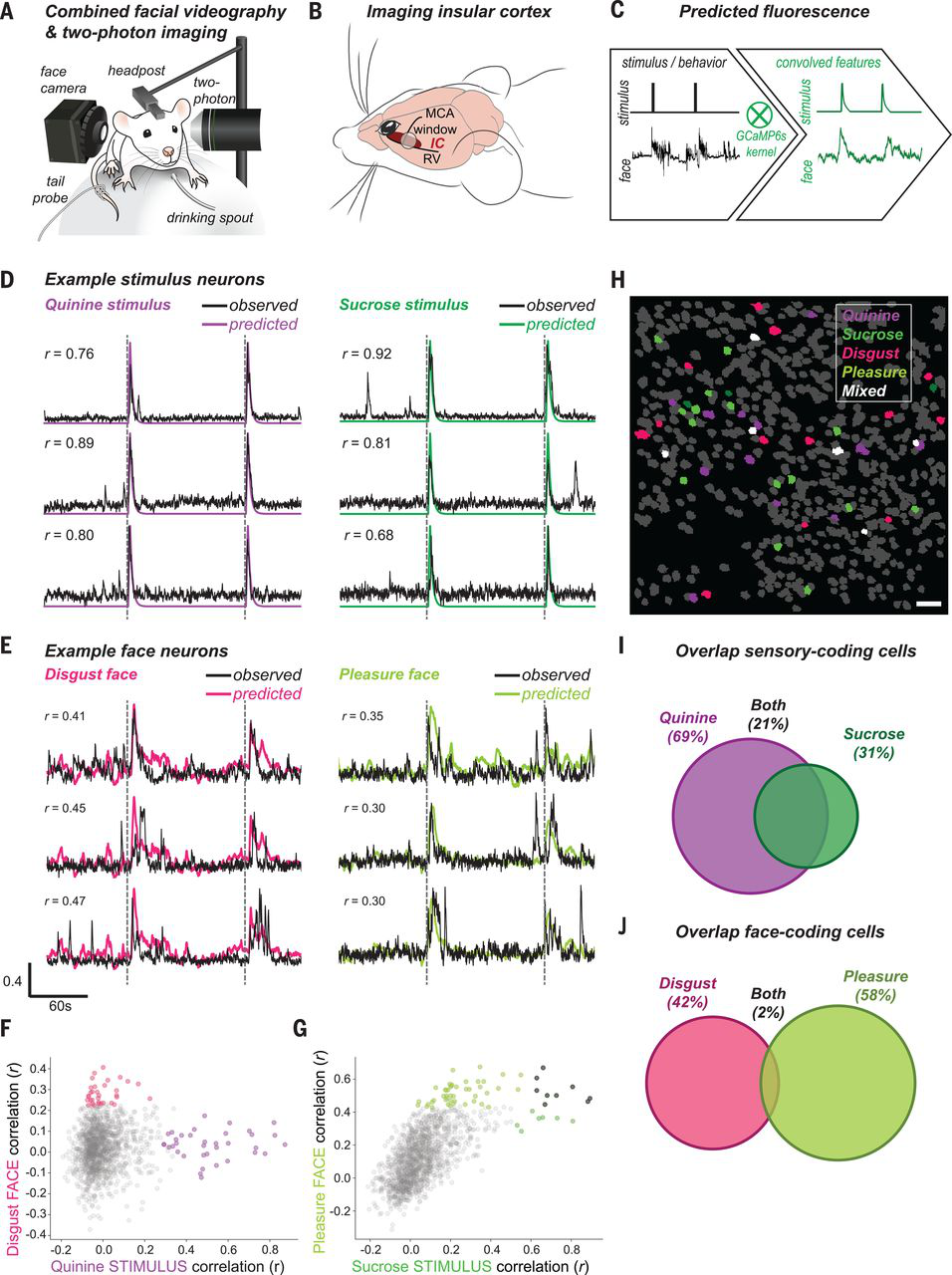 Science：小鼠情绪状态的面部表情及其与神经元的关系