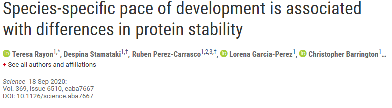 Science：特异的胚胎发育速度与其自身的蛋白质稳定性相关