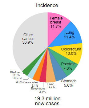 CA：乳腺癌取代肺癌成全球第一大癌