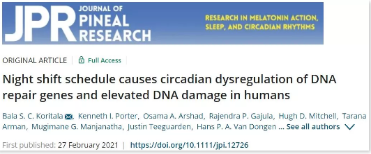 Journal of Pineal Research：熬夜会扰乱某些癌症相关基因的自然节律，导致人体的DNA修复机制无法及时处理损伤