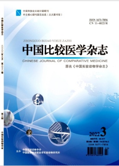 中国比较医学杂志是核心期刊吗