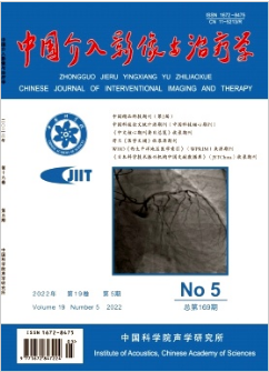 中国介入影像与治疗学杂志是北核期刊吗